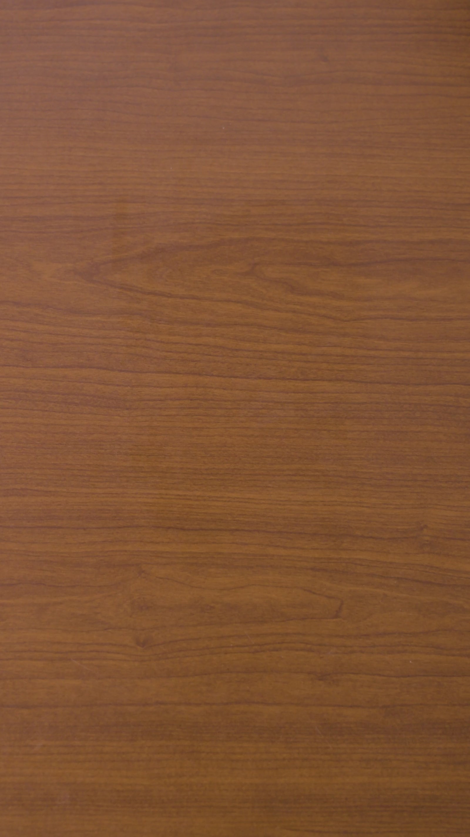 Pulled pork formato 500 gramos